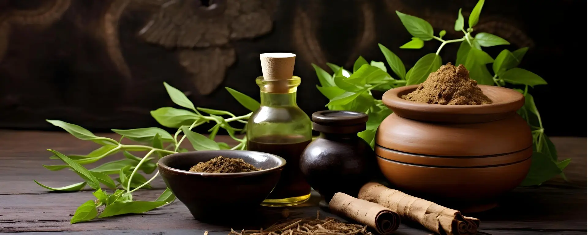 History of Ayurveda